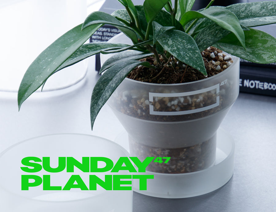 Sunday Planet 47