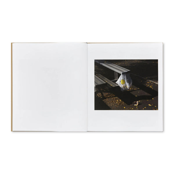 THE LOCAL by Nick Meyer