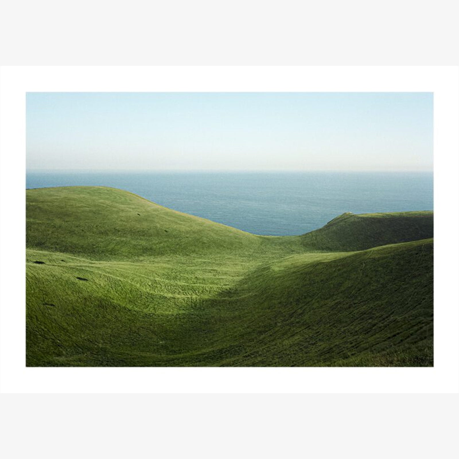 Dorset – GENERAL FURNISHINGS & CO.