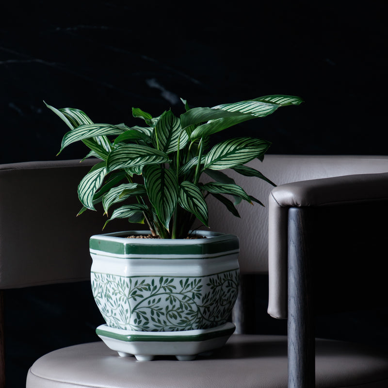 Rama Painted Plant Pot #02