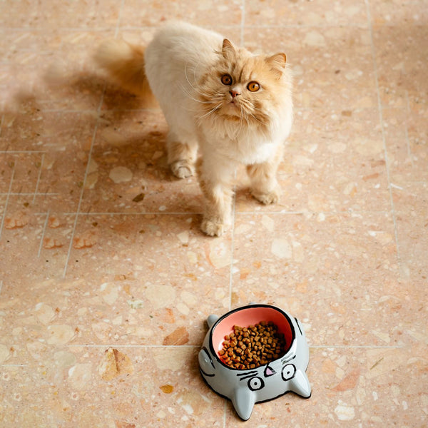 Jean Jullien Cat Bowl