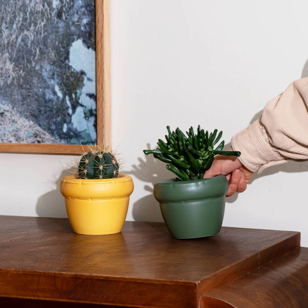 Louis Small Pot Moss (Matte)